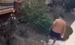 Bayraklı’da anne kediye tekme atan şüpheli yakalandı