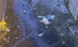 Urla’da dere isyanı: "Bu kokudan kurtulamadık"