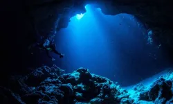 Kızıldeniz’in altında yaşam ve ölüm arasındaki sınır keşfedildi