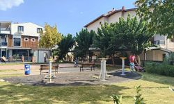 Menderes’te yabani otlarla mücadele sürüyor: Ekipler dört bir yanda sahada