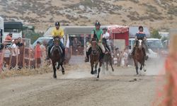 Menemen'de şampiyon rahvan atlar kupa için piste çıkıyor