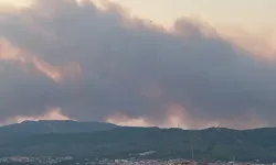 Muğla’da orman yangını rüzgarın etkisiyle büyüdü! Alevler Ula’ya sıçradı
