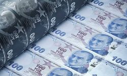 TL mevduatın payı artırılacak