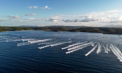Tuna Masters TEOS 2026 için geri sayım: 295 kiloluk rekor yeniden hedefte