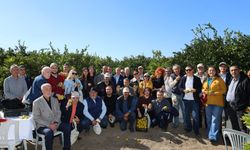 İzmir’de satsuma mandalinada ihracat sezonu başladı: Rekolte beklentisi yüzde 20 arttı