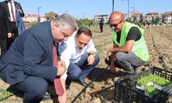 Bornova'nın üretim modeli Türkiye'ye yayılıyor