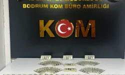 Bodrum’da 46 bin 200 dolarlık sahte banknot ele geçirildi