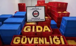 81 ilde gıda güvenliği denetimi: 3 bin 50 personel sahaya çıktı