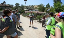 Ege’de göçmen kuşlar için yeni dönem: Elektrik hatlarındaki riskler haritalanacak