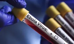 Kongo Demokratik Cumhuriyeti’nde Ebola vakaları 10 bini aştı