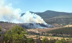 Bursa'da orman yangınına havadan ve karadan müdahale