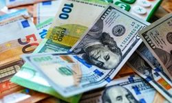 Euro geriliyor, sterlin ve İsviçre frangı güç kazanıyor