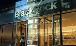 BlackRock fonu Türkiye’deki yatırımlarını yüzde 94 azalttı