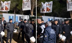 Ege Üniversitesi kampüsünde gece operasyonu: Yaklaşık 200 köpek götürüldü
