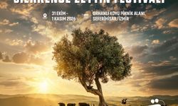 Seferihisar’da Erkence Zeytin Festivali için geri sayım başladı