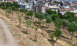 İzmir’de 213 futbol sahası büyüklüğünde yeşil alan