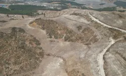 İzmir’de yanan ormanlar yeniden yeşeriyor: 1 milyon 300 bin fidan dikilecek
