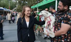 Konak’ta Patilerin Festivali’nde 13 can dost yuvasına kavuştu