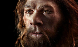 Neandertaller birbirini öldürüyor muydu? 75 bin yıllık bulgu dikkat çekti