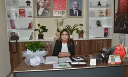 Didem Gültekin adli kontrolle serbest bırakıldı