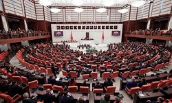 TBMM’ye gelen ilginç dilekçeler: Yeşil pasaport ve 3 yıllık üniversite talebi