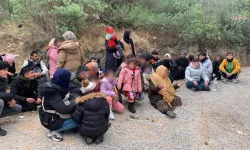 Seferihisar’da 37 kaçak göçmen yakalandı: 1 kişi tutuklandı