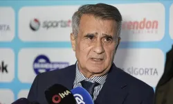 Şenol Güneş'ten milli takımda yabancı teknik direktör tercihine tepki