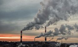 Dünya Meteoroloji Örgütü açıkladı: Sera gazları rekor seviyeye ulaştı