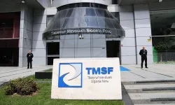 Tera Yatırım Teknoloji Holding’e TMSF kayyum olarak atandı