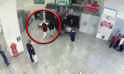 Üreme hücresi ticareti soruşturması: 14 ilde 42 gözaltı