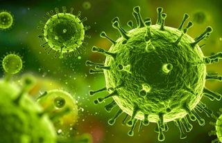 Mutasyona uğramış grip Türkiye için tehlike oluşturur mu?