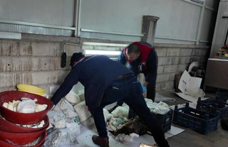 Son kullanma tarihi geçen 2 bin 424 kilogram peynir ve tereyağı bulundu