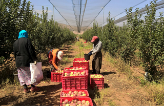 SGK uzmanı Elmen açıkladı: Çalışanların Ramazan ayındaki izin hakları neler?