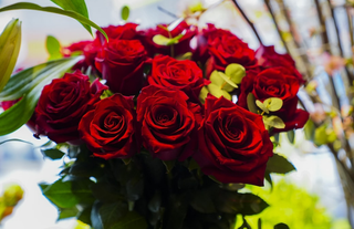 Sevgililer Günü'nde gül alacaklar dikkat: Bir adet gülün fiyatı 400 liraya kadar çıktı