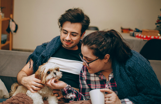 Dostlarımızın tabağındaki gizli tehlike: Evcil hayvan mamalarında PFAS kimyasalları bulundu