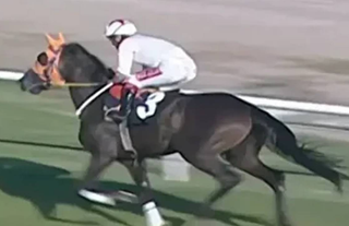 İngiliz basınında gündem oldu: Mersin’de “Şampiyon Atın Kavurması” skandalı