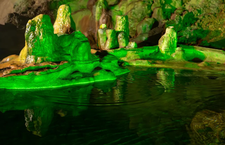 Kamboçya’daki mağarada farklı bir dünya ortaya çıktı: Uçan yılan ve birçok yeni canlı türü keşfedildi