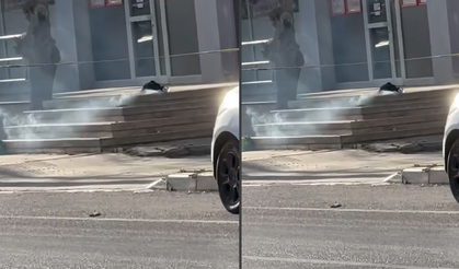 Foça'da şüpheli çanta paniği! Ekipler harekete geçti