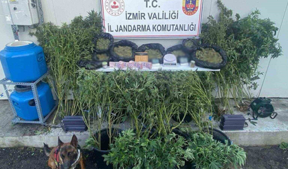 İzmir Torbalı'da 65 yaşındaki 2 torbacı yakalandı!