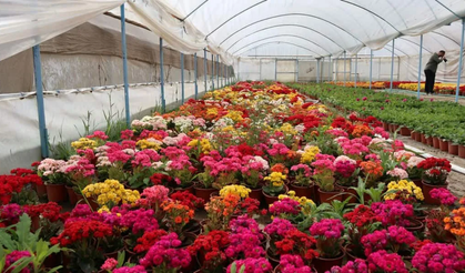 Bayındır'da Çiçek Festivali, ünlü isimlerin konserleriyle şenleniyor