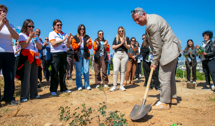 Güzelbahçe’de sakız ağaçları büyüyecek