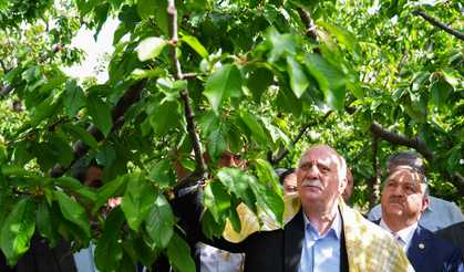 TZOB Genel Başkanı, İzmir'de zirai dondan etkilenen bahçeleri inceledi