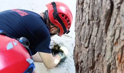 İzmir’de bacaya sıkışan yavru kedi için 4 saatlik kurtarma operasyonu!
