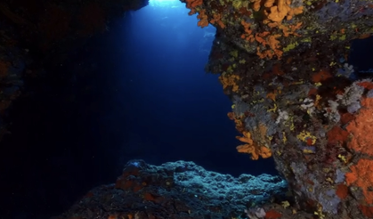 Seferihisar dalış turizmiyle parlıyor: Ege’nin sualtı cenneti