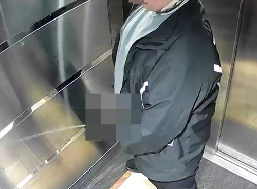 Asansöre tuvaletini yapan kuryeye asansörü temizlettiler