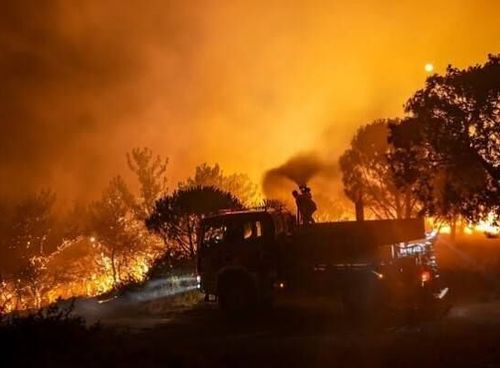 Balıkesir’de orman yangınına ilişkin flaş gelişme: 2 kişi tutuklandı