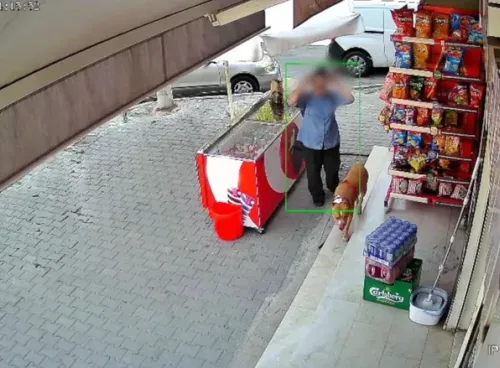 Karşıyaka'da başıboş bırakılan pitbull dehşet saçtı: Kadının parmağı koptu!
