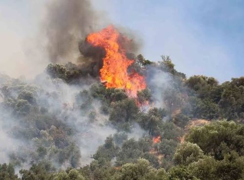 Ege ve Akdeniz’de yangın alarmı: Karadan ve havadan müdahale sürüyor!