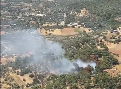 Kiraz’da alevler ormana sıçradı: Ekipler seferber oldu