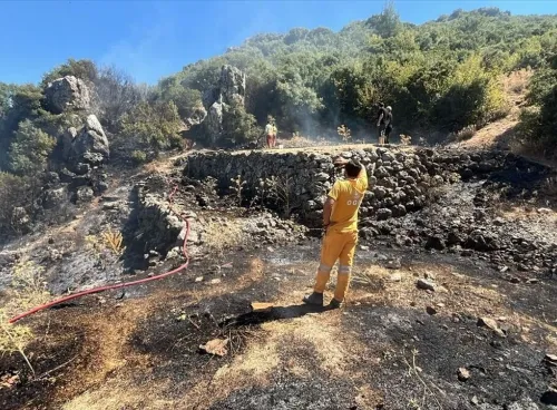 Kemalpaşa’da makilik yangını kontrol altına alındı